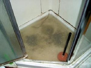 bath drain cleaning
